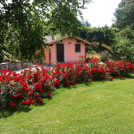 Apartment Colonica Poggio Renai